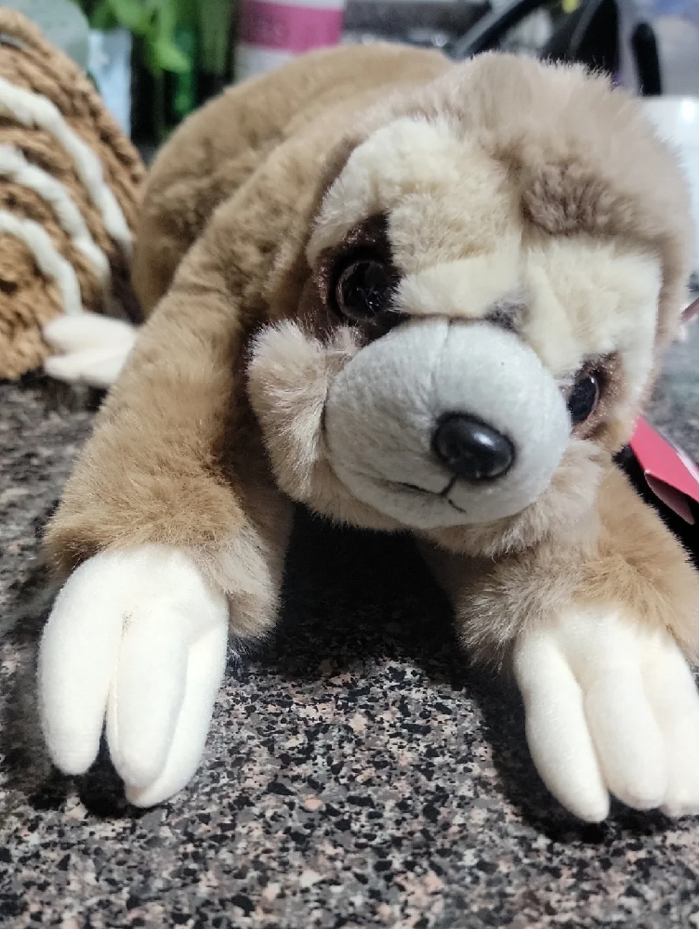FAO Schwarz Adopt A Pets Sloth